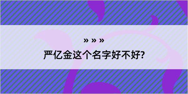 严亿金这个名字好不好?