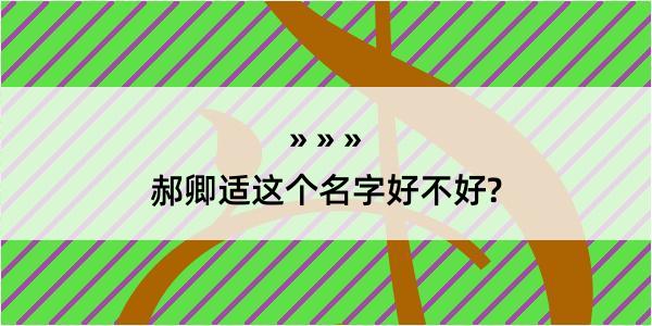 郝卿适这个名字好不好?