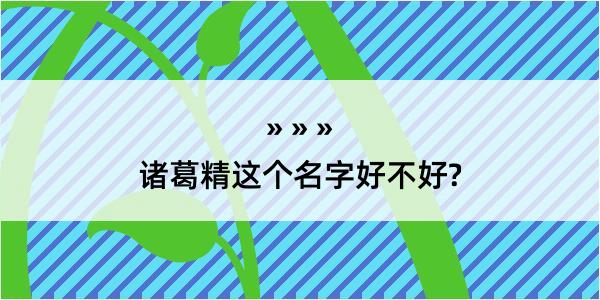 诸葛精这个名字好不好?