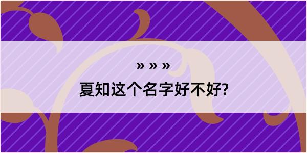 夏知这个名字好不好?