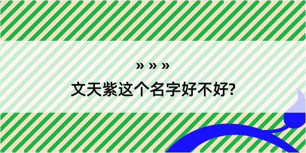 文天紫这个名字好不好?