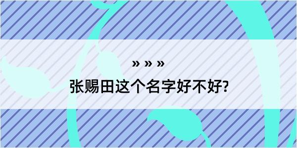 张赐田这个名字好不好?