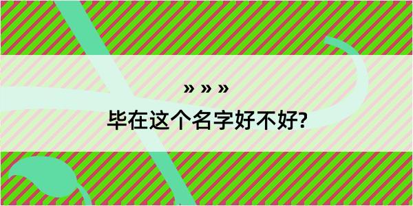 毕在这个名字好不好?