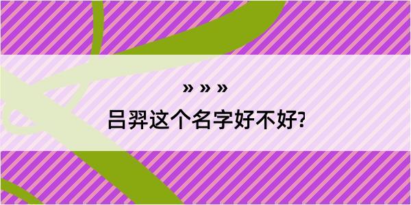 吕羿这个名字好不好?