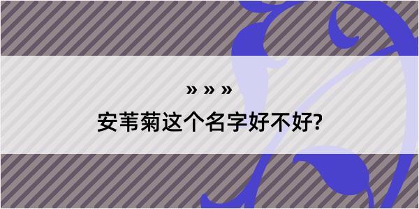 安苇菊这个名字好不好?