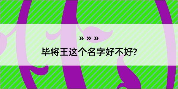 毕将王这个名字好不好?