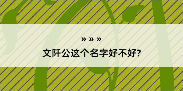 文阡公这个名字好不好?