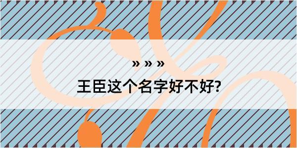 王臣这个名字好不好?