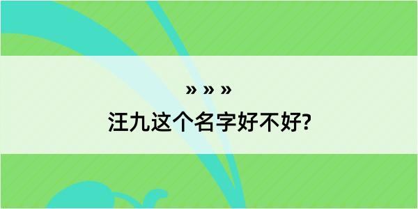 汪九这个名字好不好?