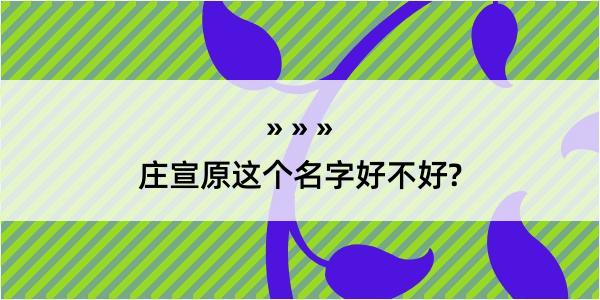 庄宣原这个名字好不好?