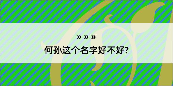 何孙这个名字好不好?