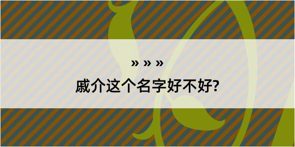 戚介这个名字好不好?