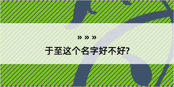 于至这个名字好不好?