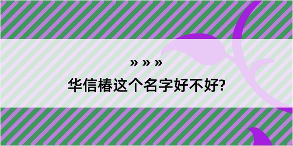 华信椿这个名字好不好?