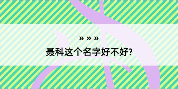 聂科这个名字好不好?