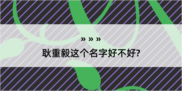 耿重毅这个名字好不好?