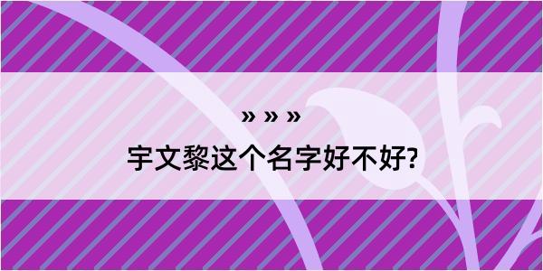 宇文黎这个名字好不好?