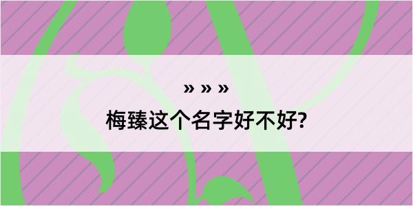 梅臻这个名字好不好?