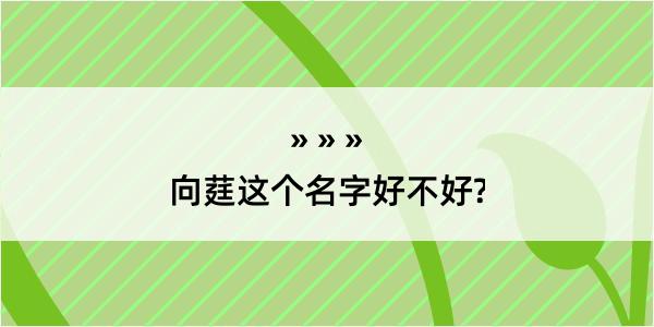 向莛这个名字好不好?