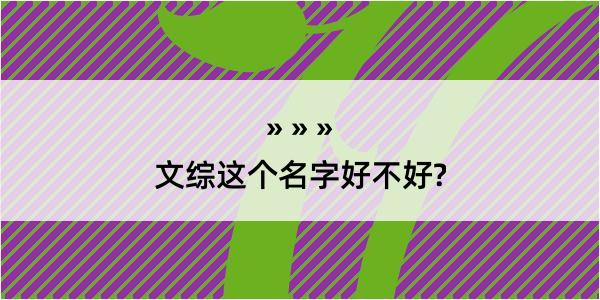 文综这个名字好不好?