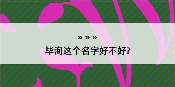 毕洵这个名字好不好?