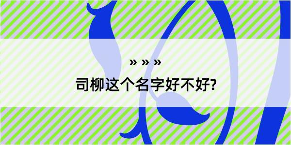 司柳这个名字好不好?