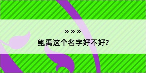 鲍禹这个名字好不好?