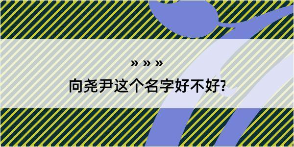 向尧尹这个名字好不好?