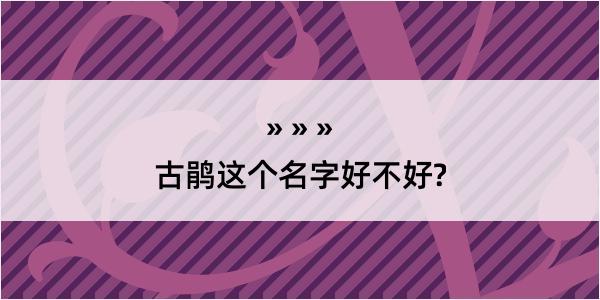 古鹃这个名字好不好?