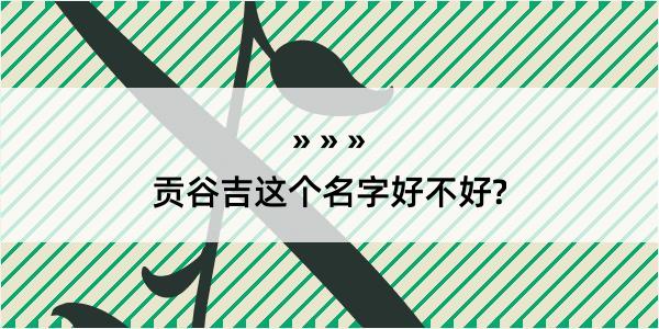 贡谷吉这个名字好不好?