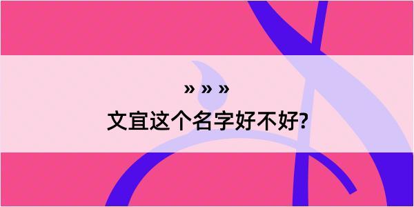 文宜这个名字好不好?