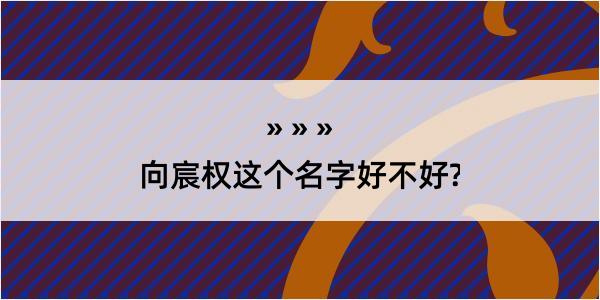 向宸权这个名字好不好?