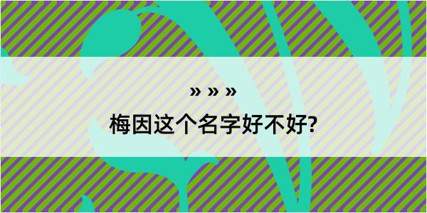 梅因这个名字好不好?