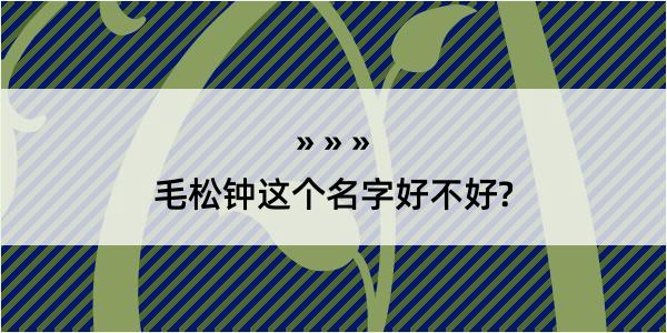 毛松钟这个名字好不好?