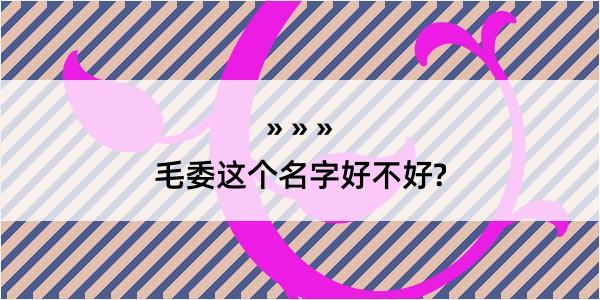 毛委这个名字好不好?