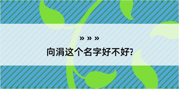 向涓这个名字好不好?