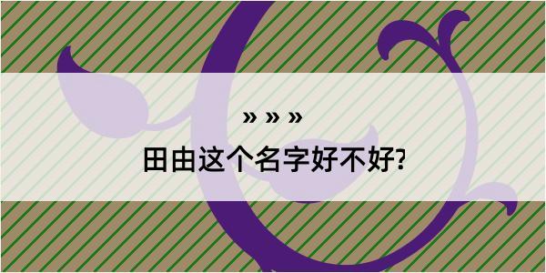 田由这个名字好不好?