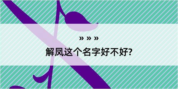 解凤这个名字好不好?