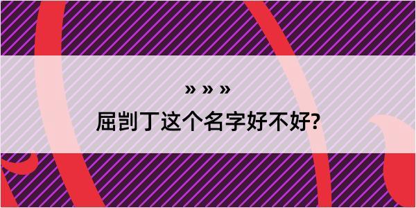 屈剀丁这个名字好不好?