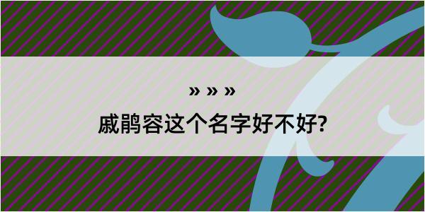 戚鹃容这个名字好不好?