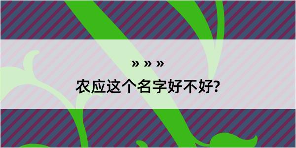 农应这个名字好不好?