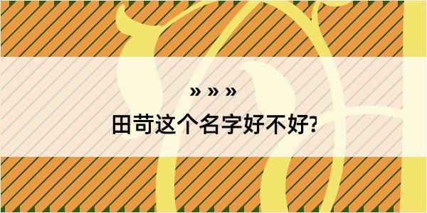 田苛这个名字好不好?