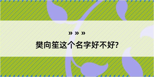 樊向笙这个名字好不好?