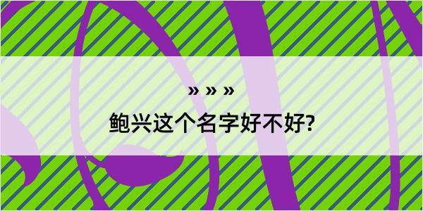 鲍兴这个名字好不好?