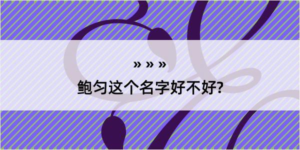 鲍匀这个名字好不好?