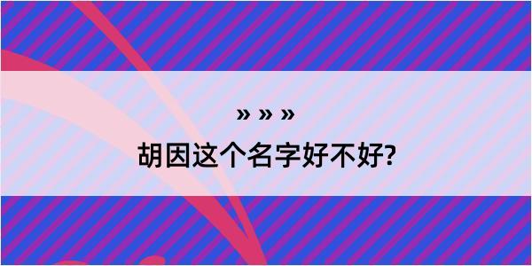 胡因这个名字好不好?