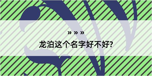 龙泊这个名字好不好?