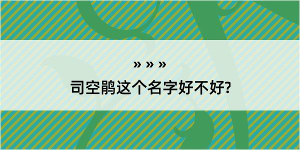 司空鹃这个名字好不好?