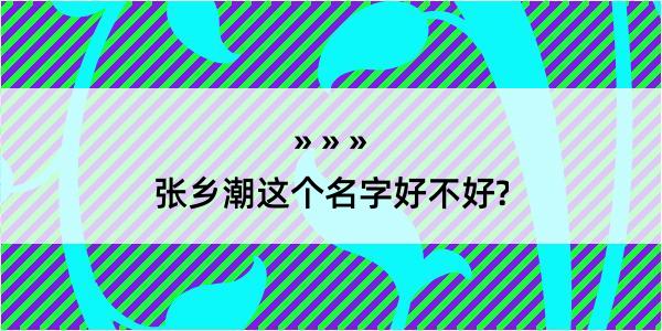 张乡潮这个名字好不好?