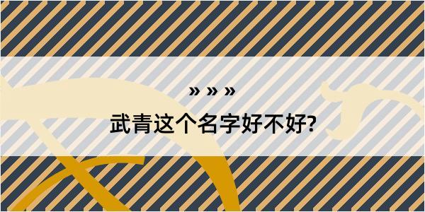 武青这个名字好不好?